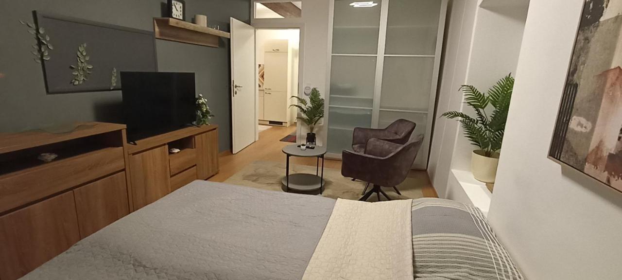 Wohnung In Leoben Zentrum Zwischen Hauptplatz Und Stadtpark 外观 照片