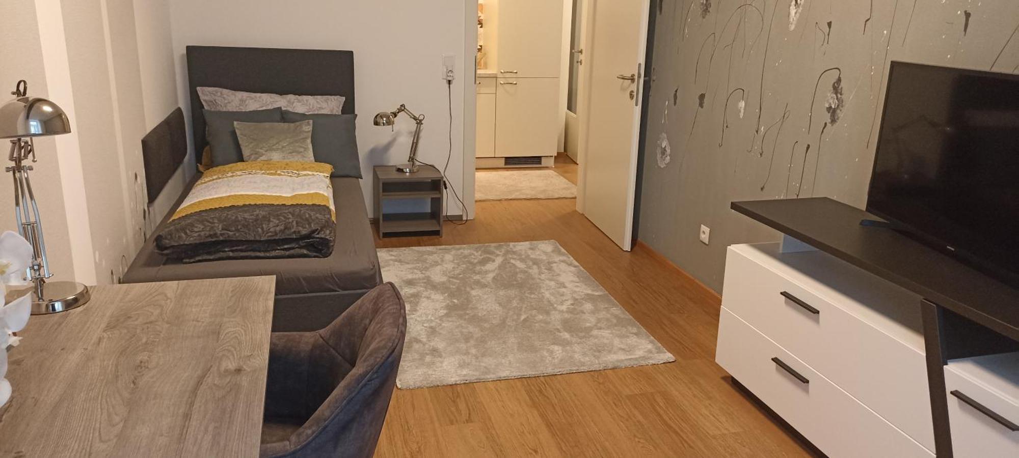 Wohnung In Leoben Zentrum Zwischen Hauptplatz Und Stadtpark 外观 照片