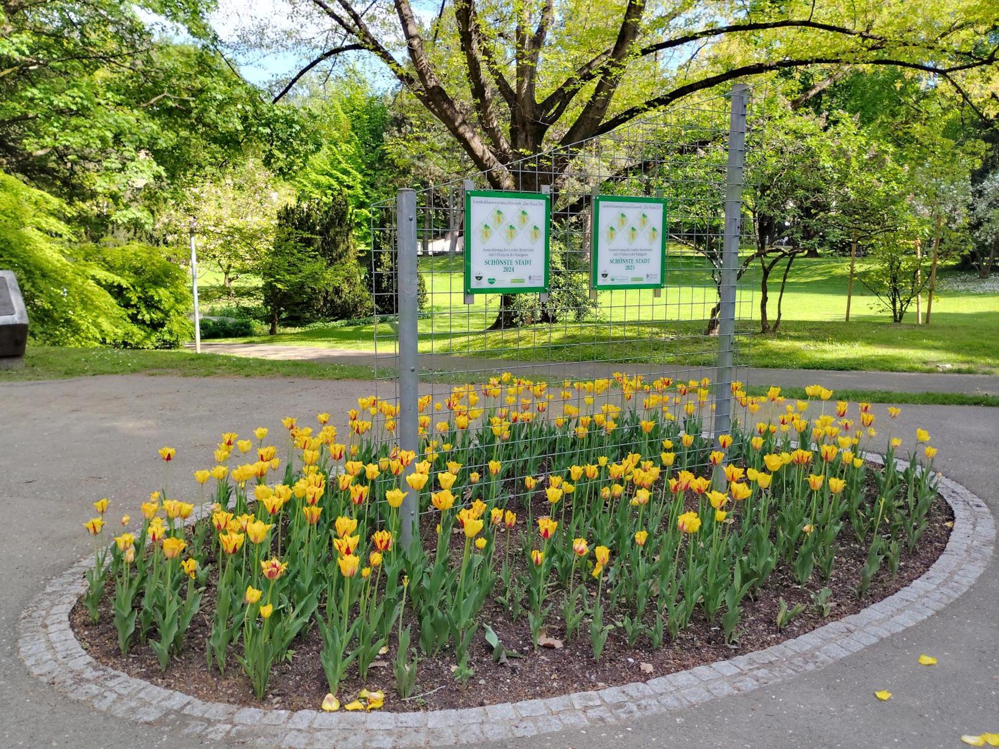 Wohnung In Leoben Zentrum Zwischen Hauptplatz Und Stadtpark 外观 照片